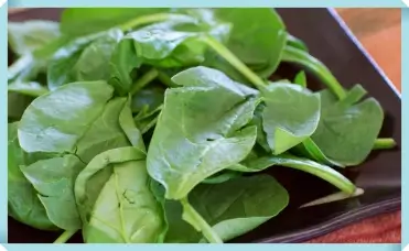 혈압에 좋은 음식 고칼륨 식품 올리브 오일 시금치 1 혈압 조절해주는 고 칼륨 식품